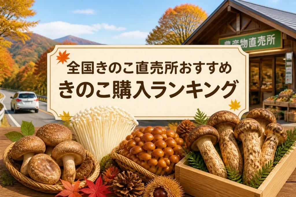 検索テーマとランキング記事であることを一目で伝える