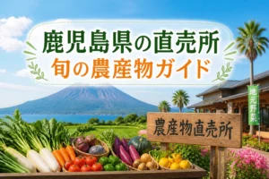 鹿児島県・農産物直売所・地域まとめの記事であることを一目で伝える